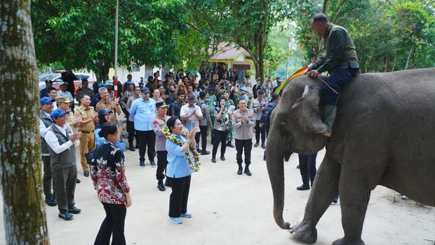 Kapolri Jenderal Listyo Sigit bersama Ketua Komisi IV DPR Titiek Soeharto dan Menhut Raja Juli meninjau Camp Elephant Flying Squad di TN Tesso Nilo (TNTN). (dok Polri)