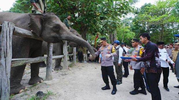 Kapolri Jenderal Listyo Sigit bersama Ketua Komisi IV DPR Titiek Soeharto dan Menhut Raja Juli meninjau Camp Elephant Flying Squad di TN Tesso Nilo (TNTN). (dok Polri)
