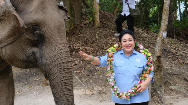 Ketua Komisi IV DPR RI Titiek Soeharto menegaskan Taman Nasional Tesso Nilo (TNTN) di Pelalawan, Riau harus dikembalikan  sebagai rumah gajah Sumatera. (dok Polda Riau)