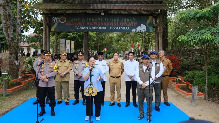Ketua Komisi IV DPR RI Titiek Soeharto menegaskan Taman Nasional Tesso Nilo (TNTN) di Pelalawan, Riau harus dikembalikan  sebagai rumah gajah Sumatera. (dok Polda Riau)