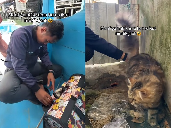 Pemudik ini membawa kucing peliharaannya menggunakan kapal laut, unggahan tersebut langsung viral di media sosial.