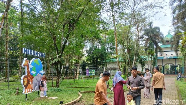 Medan Zoo (Juita Sinuhaji/detikSumut)