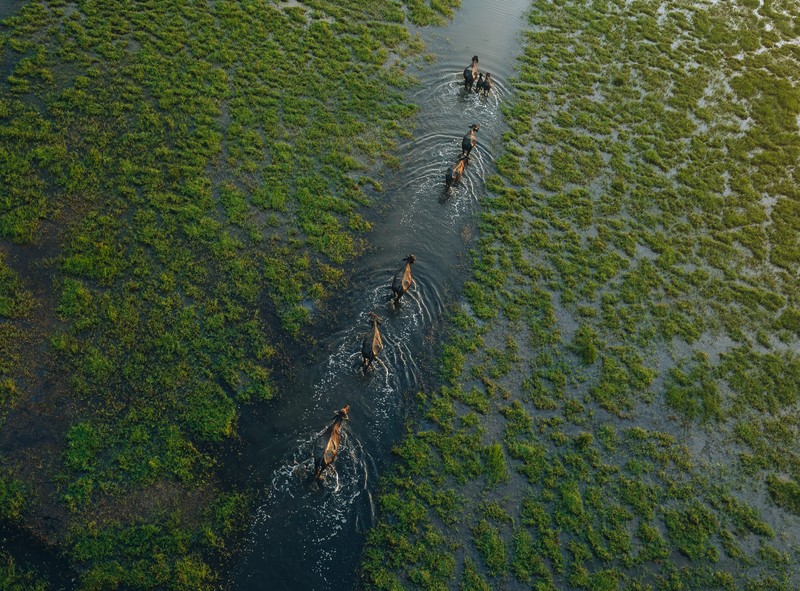 Sony World Photography Awards 2026
