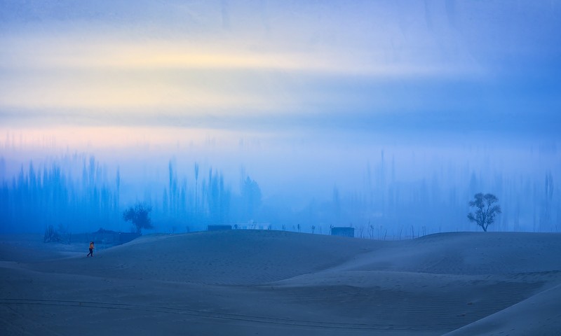 Sony World Photography Awards 2026