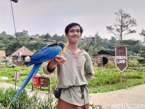 Wisata Baru KBB: Nordic Land Tawarkan Edukasi Alam & Satwa