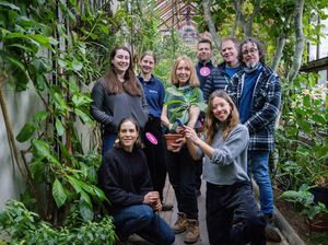 Universitas Cambridge Hadirkan Tanaman yang Bisa Diajak Ngobrol, Kok Bisa?