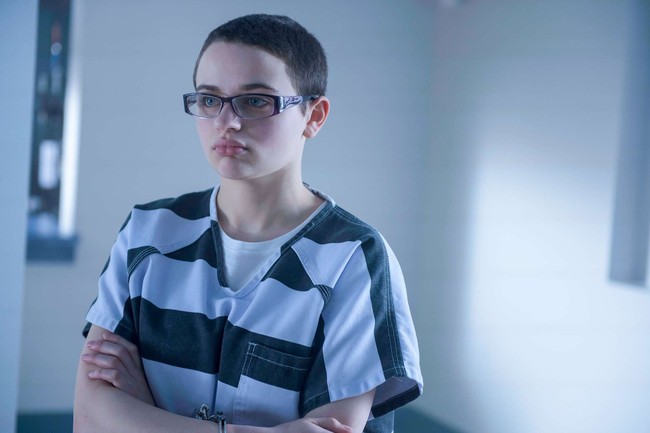Joey King membotaki kepalanya sebanyak tiga kali demi peran. Pertama kali untuk film ‘The Cut’, ‘The Dark Knight’ dan yang terakhir ‘Wish I Was Here’. Foto: istimewa