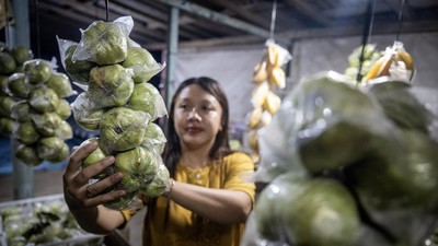 Arus Mudik Dongkrak Penjualan Jambu Kristal di Pansela