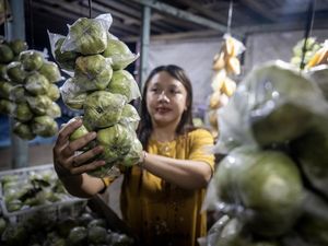 Arus Mudik Dongkrak Penjualan Jambu Kristal di Pansela