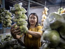 Arus Mudik Dongkrak Penjualan Jambu Kristal di Pansela