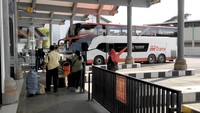 Kemenhub Ungkap 5 PO Bus Paling Banyak Bikin Pelanggaran