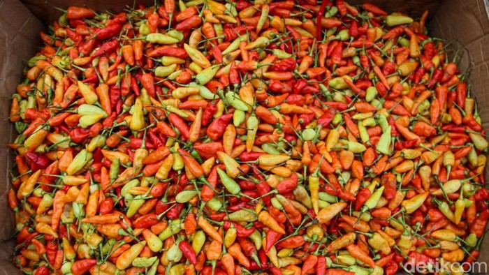 Cabai tembus Rp120.000 per kilogram di Pasar Senen, Jakarta Pusat, Rabu (18/3/2026). Lonjakan harga jelang Lebaran jadi perhatian pembeli.