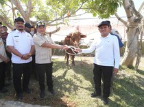 Prabowo Penuhi Aspirasi Warga Aceh, Salurkan Daging Meugang untuk Idulfitri