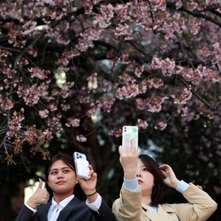 8 Tradisi Jepang yang Sering Digambarkan dalam Anime