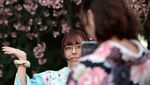 Tokyo Mulai Diselimuti Sakura, Ueno Park Jadi Sinyal Awal Musim Hanami