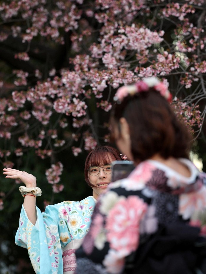 Tokyo Mulai Diselimuti Sakura, Ueno Park Jadi Sinyal Awal Musim Hanami