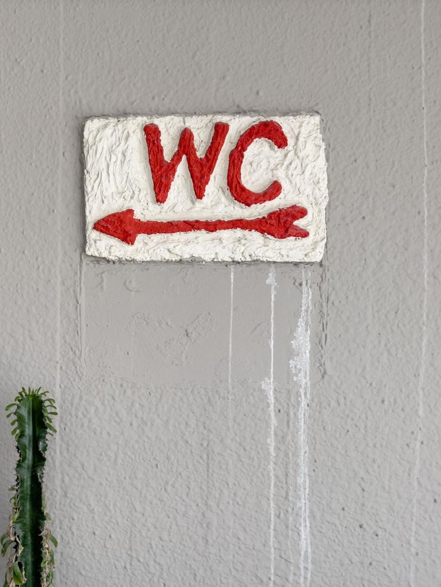 Mudik dan Kebersihan Area Intim