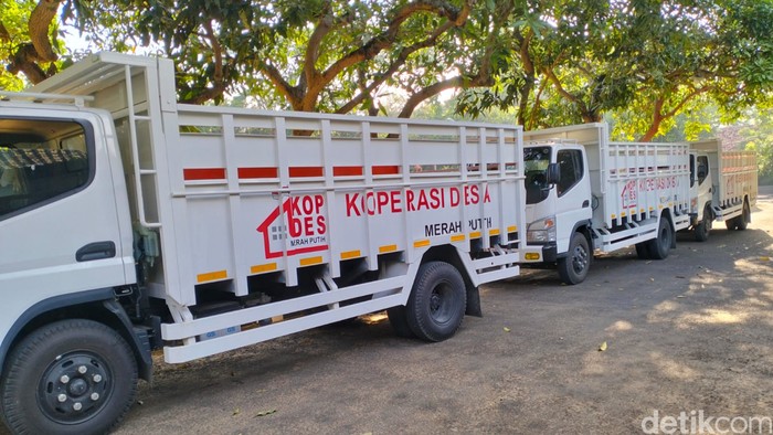 Penampakan truk Koperasi Desa Merah Putih di Pamekasan