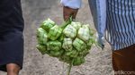 Ramai Sejak Pagi, Kulit Ketupat Diserbu Pembeli