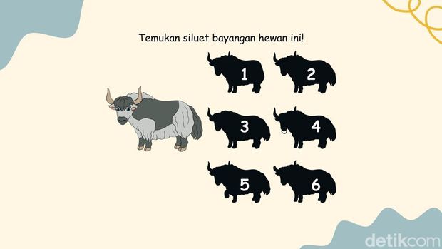 Tes Fokus dan Memori, Bisa Temukan Bayangan yang Sesuai?