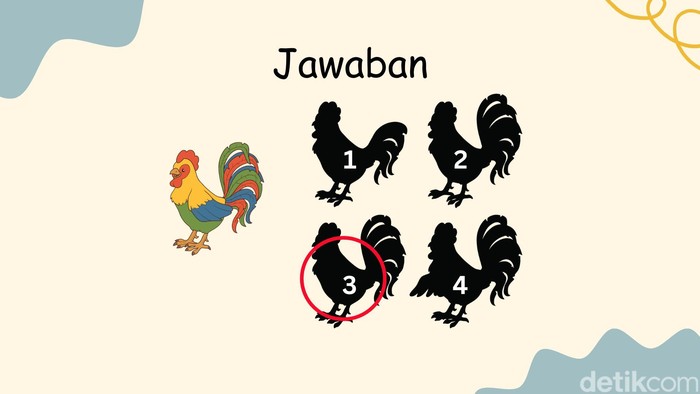 Tes Fokus dan Memori, Bisa Temukan Bayangan yang Sesuai?