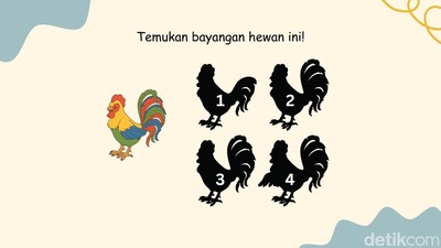 Tes Fokus dan Memori, Bisa Temukan Bayangan yang Sesuai?