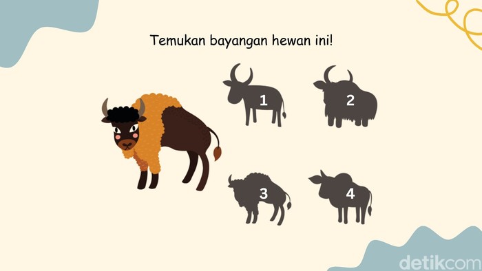 Tes Fokus dan Memori, Bisa Temukan Bayangan yang Sesuai?