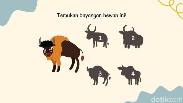 Tes Fokus dan Memori, Bisa Temukan Bayangan yang Sesuai?