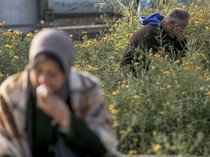 Video: Bunga Bermekaran Temani Ziarah Kubur Warga Gaza di Momen Idul Fitri