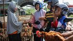 Jelang Lebaran, Penjualan Ayam di Semarang Meningkat Tajam