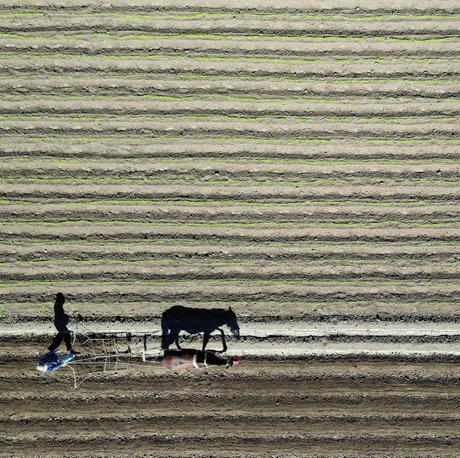 Kekeringan Panjang Hantam Chile, Produksi Pertanian Terancam