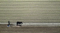Kondisi ini juga memengaruhi kehidupan petani yang bergantung pada hasil panen. Mereka dituntut untuk beradaptasi dengan situasi yang tidak menentu, termasuk mengelola sumber daya air secara lebih efisien. REUTERS/Rodrigo Garrido