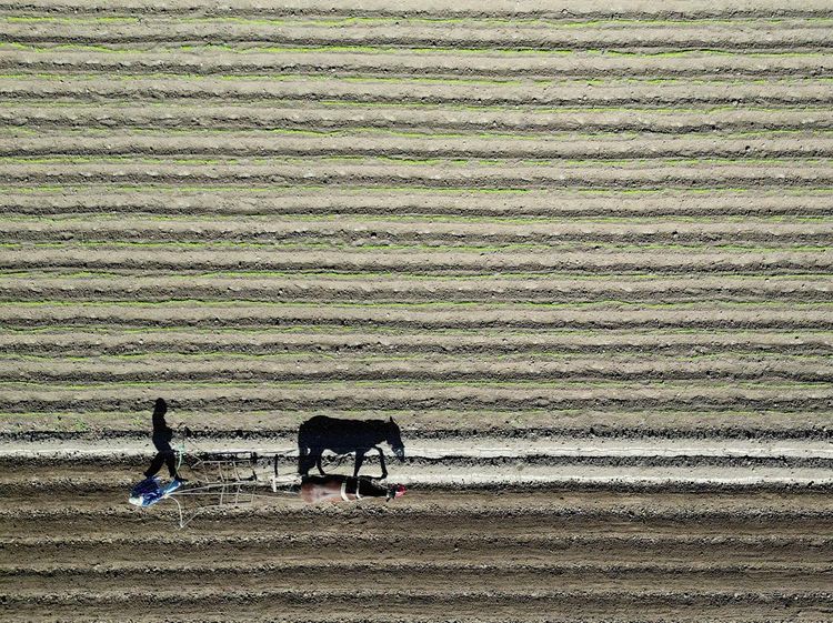 Kekeringan Panjang Hantam Chile, Produksi Pertanian Terancam