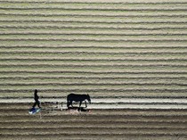 Kekeringan Panjang Hantam Chile, Produksi Pertanian Terancam