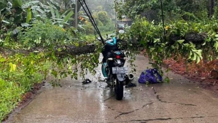 Lokasi seorang pemotor tewas tersengat aliran listrik dari kabel yang tertimpa pohon tumbang di Bone.