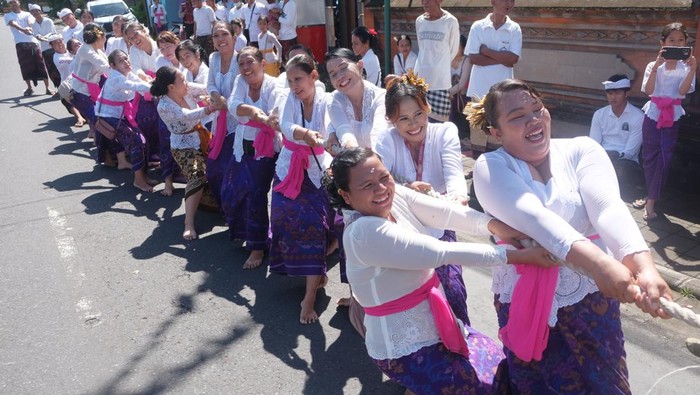 Sejumlah umat Hindu saling tarik-menarik tumbuhan bun kalot saat tradisi Mbed-Mbedan di Desa Adat Semate, Badung, Bali, Jumat (20/3/2026). Tradisi tahunan yang mirip olahraga tarik tambang tersebut digelar setiap setahun sekali tepatnya pada hari Ngembak Geni atau sehari setelah Hari Raya Nyepi Tahun Baru Saka 1948 dengan diikuti puluhan warga untuk memohon keharmonisan dan mempererat rasa kebersamaan serta menjaga warisan budaya leluhur. ANTARA FOTO/Nyoman Hendra Wibowo/foc.