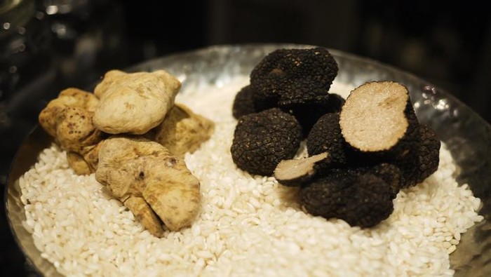 White truffle dan black truffle