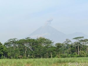 Gunung Semeru Erupsi Saat Lebaran, Luncurkan Awan Panas hingga 4,5 Km