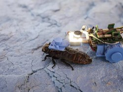 Kecoak Cyborg Diuji untuk Inspeksi Pipa di Singapura