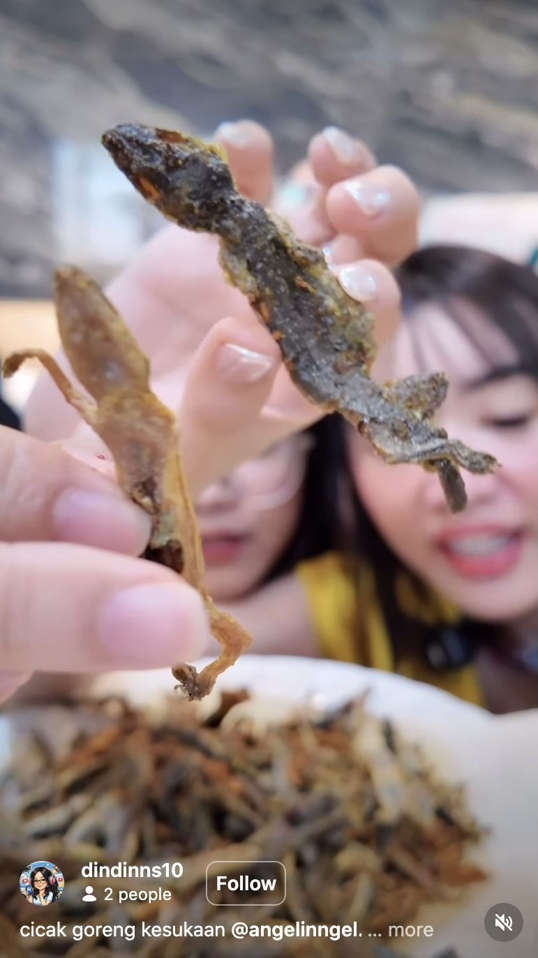 Konten Kreator Ini Nekat Makan Cicak Goreng, Ungkap Bagian Terenak!