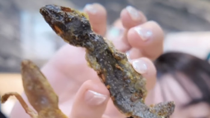 Konten Kreator Ini Nekat Makan Cicak Goreng, Ungkap Bagian Terenak!