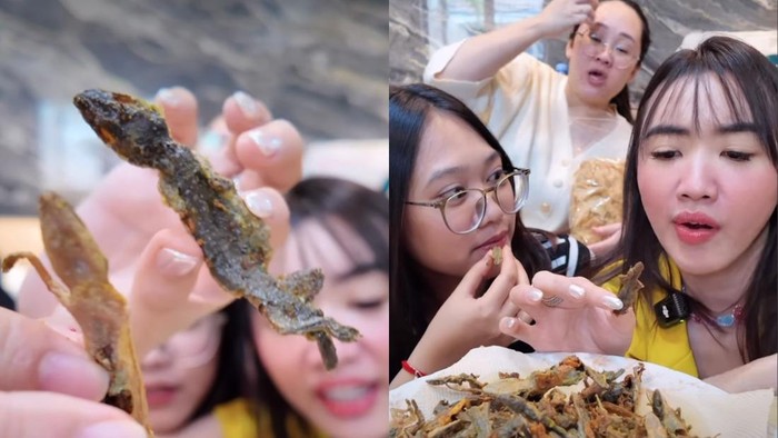 Konten Kreator Ini Nekat Makan Cicak Goreng, Ungkap Bagian Terenak!