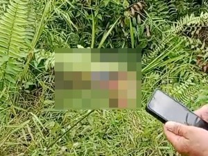Geger Penemuan Potongan Tubuh Manusia di Samarinda, Polisi Selidiki