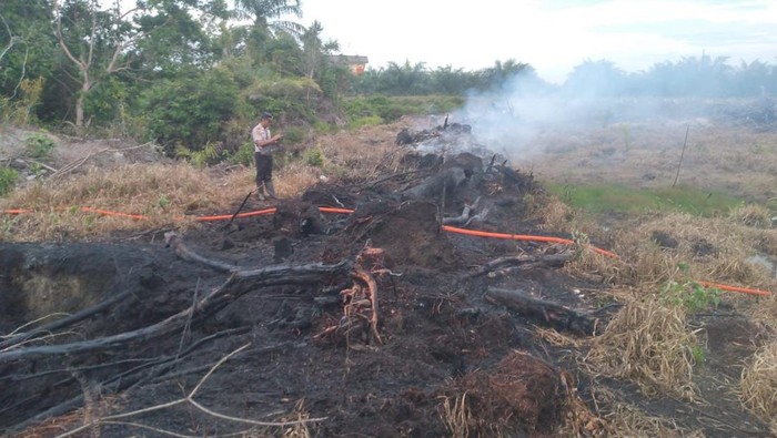 Personel polisi di Rokan Hilir, Riau mengecek lokasi pembakaran lahan, Senin (16/3/2026).