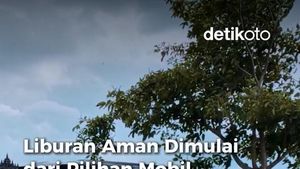 Video 3 Pilihan Mobil Nyaman yang Cocok Buat Liburan Keluarga