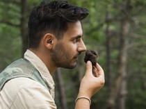 Mahal dan Menggoda! Ini Penyebab Truffle Punya Aroma Khas yang Unik