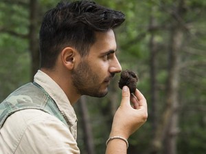Mahal dan Menggoda! Ini Penyebab Truffle Punya Aroma Khas yang Unik
