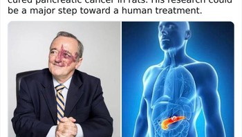 Jadi harapan baru untuk menyembuhkan kanker pada manusia. Foto: DudepostingWs via Bored Panda  