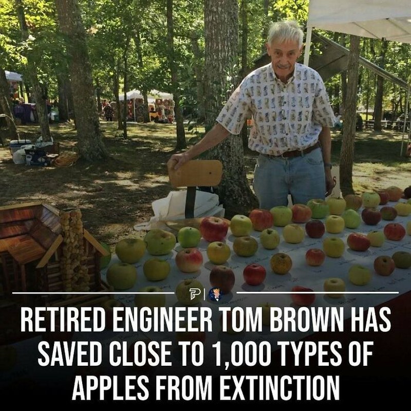 Rentetan foto ini membuktikan bahwa masih ada manusia baik yang hidup di dunia. Patut diteladani dan dicontoh nih, detikers.