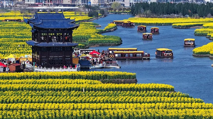 XINGHUA, CHINA - MARCH 21: Aerial view of tourists enjoying rapeseed flowers by boat at the Qianduo scenic area in spring on March 21, 2026 in Xinghua, Jiangsu Province of China. (Photo by Meng Delong/VCG via Getty Images)